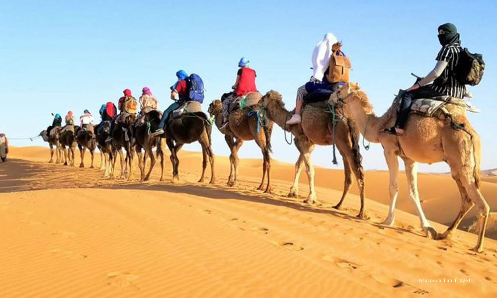 4 Day Morocco Camel Ride